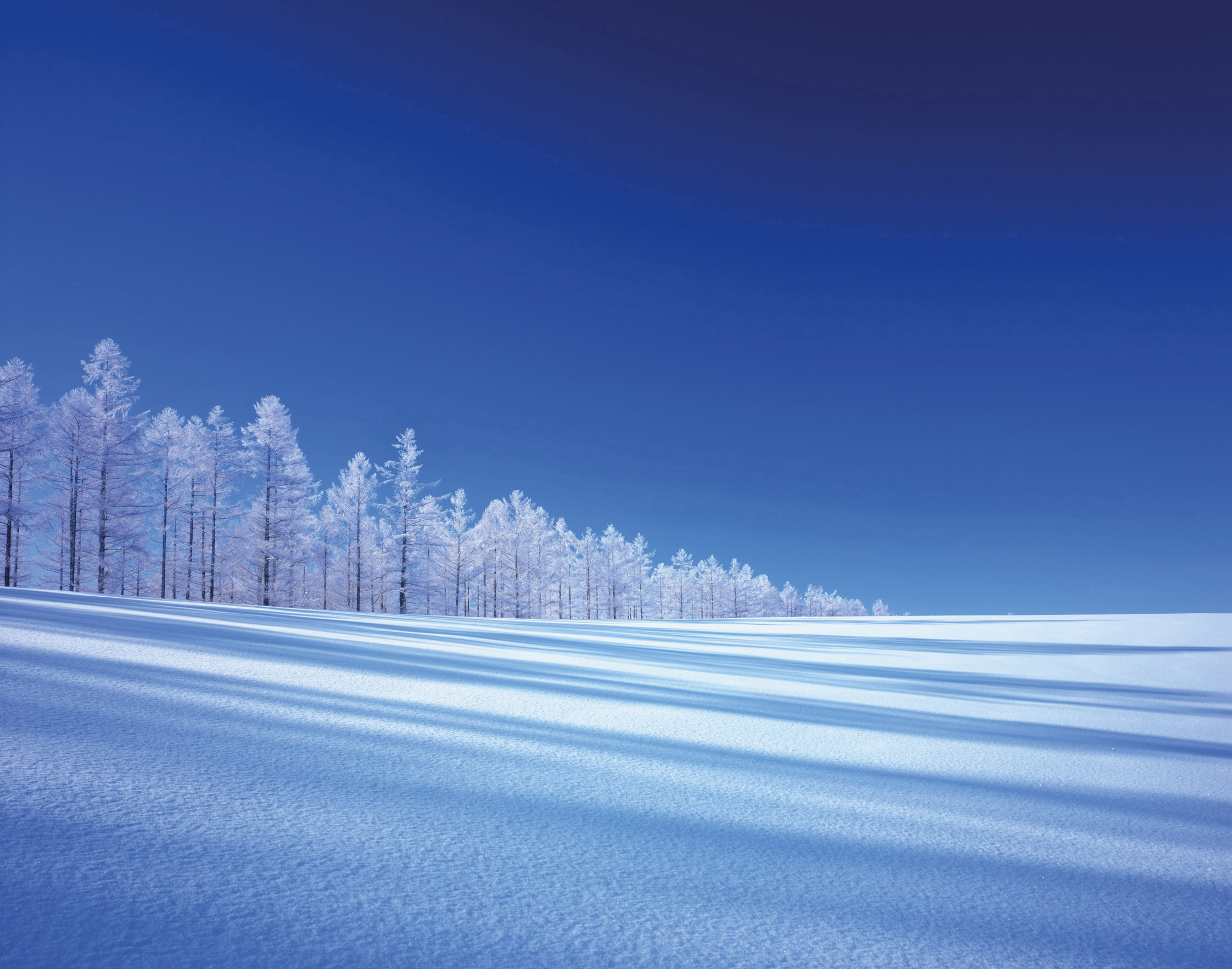 Masami Goto Getty Images Kamikawa Wintry scenes at a snowfield in Biei - photo 4