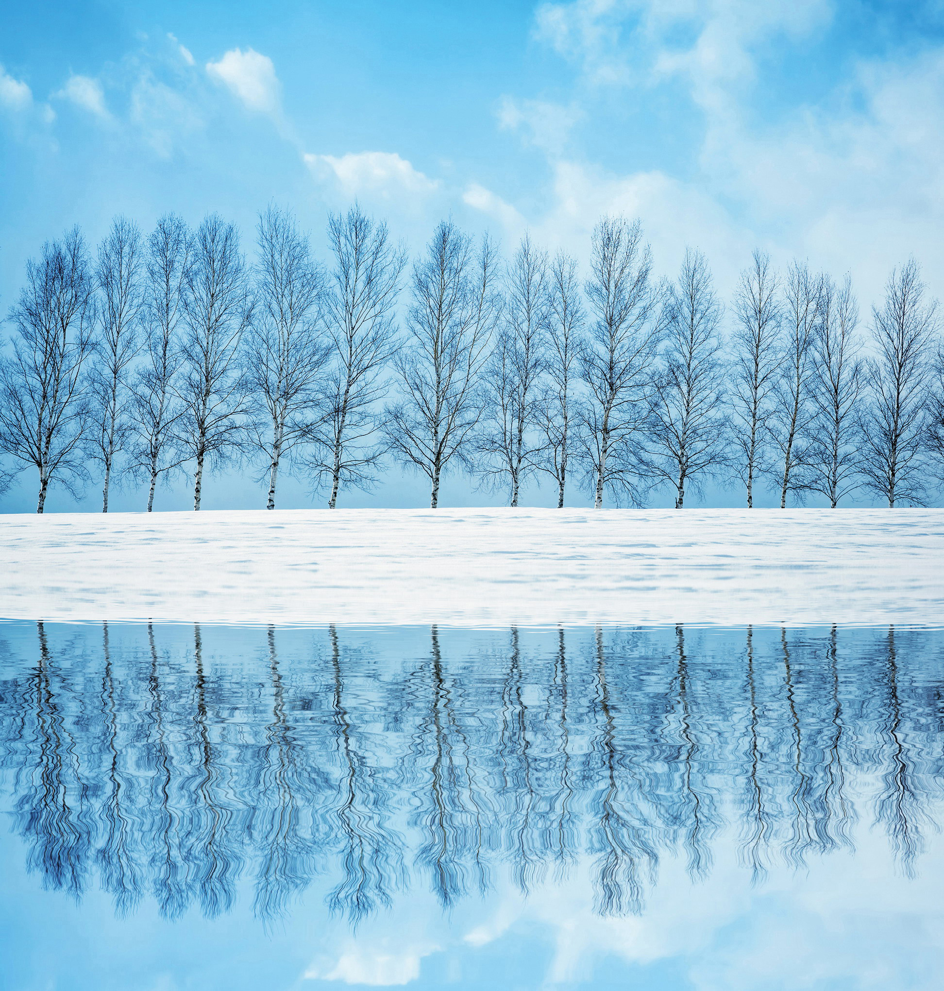 Kamikawa Wintry scenes at a snowfield in Biei Marco Wong Getty Images - photo 5