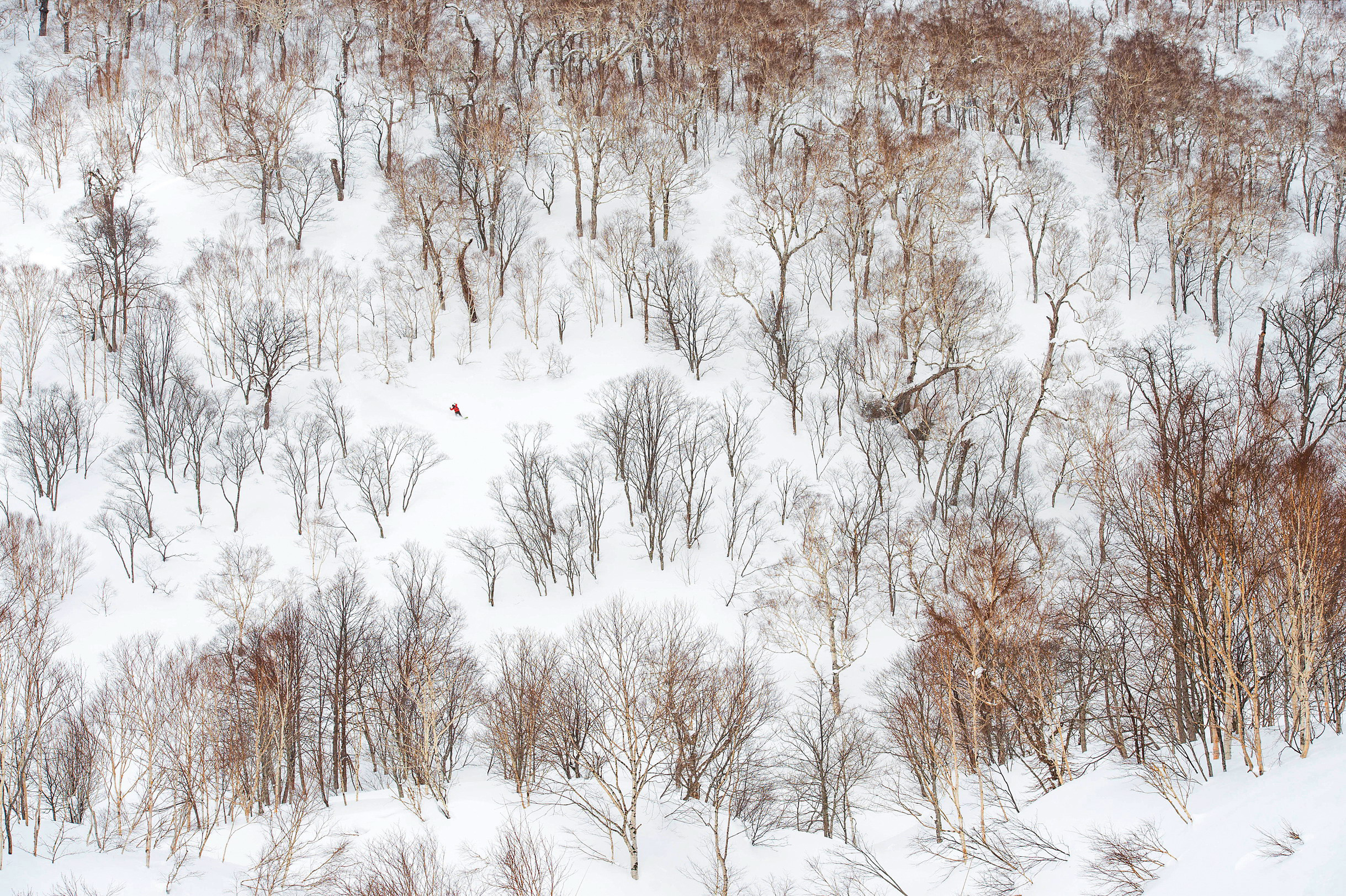 Niseko A snowboarder tackles the slopes of Hokkaids major ski resort Brandon - photo 7