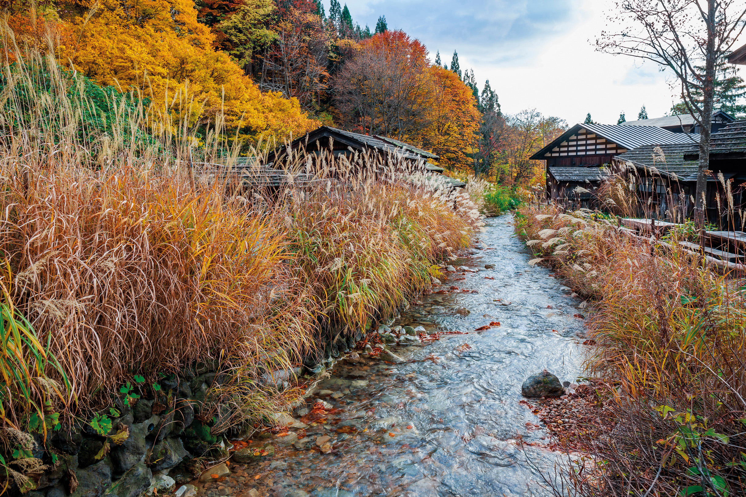 Akita Traditional wooden huts among the trees of Nyt Onsen village Piith Hant - photo 25