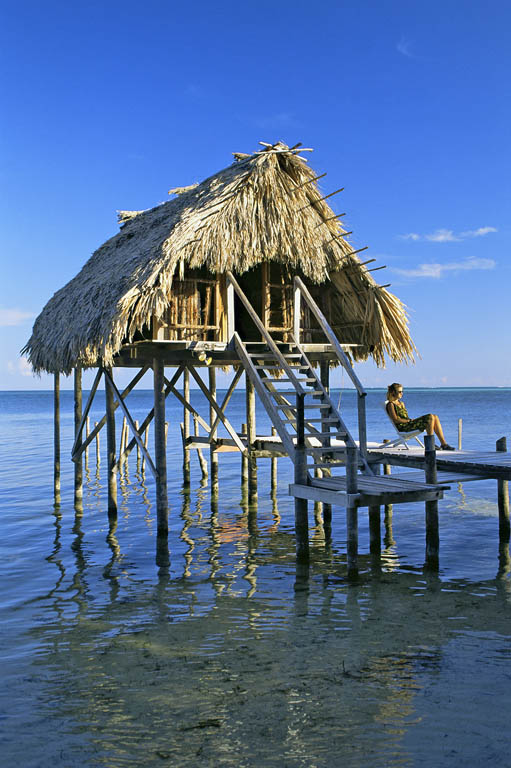 Ambergris Caye Gavin HellierRobert Harding Jungle Life Inland a vast by - photo 8