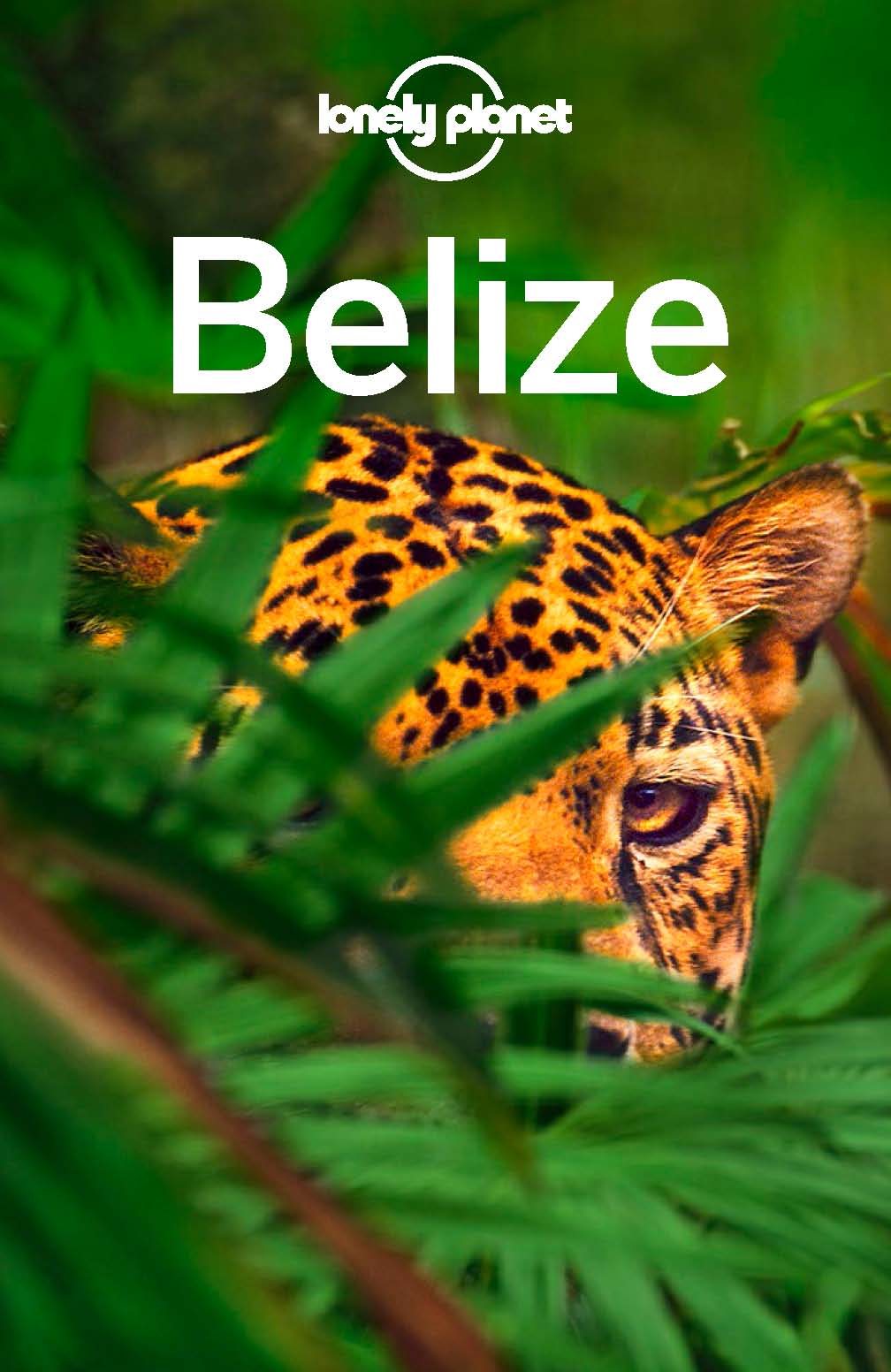 Lonely Planet Belize - image 1