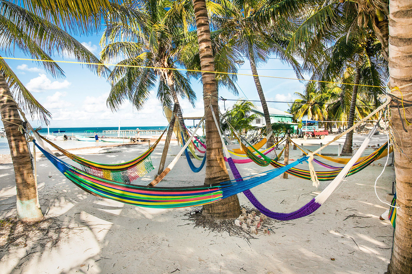 Hammocks on Caye Caulker ALEKSANDAR TODOROVICSHUTTERSTOCK diving in - photo 7