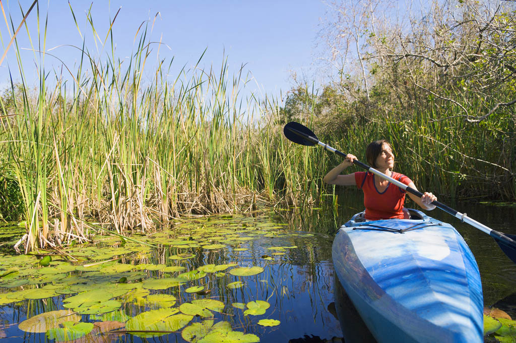 BLEND IMAGESPBNJ PRODUCTIONSGETTY IMAGES FLORIDAS TOP 12 PLAN YOUR TRIP - photo 9