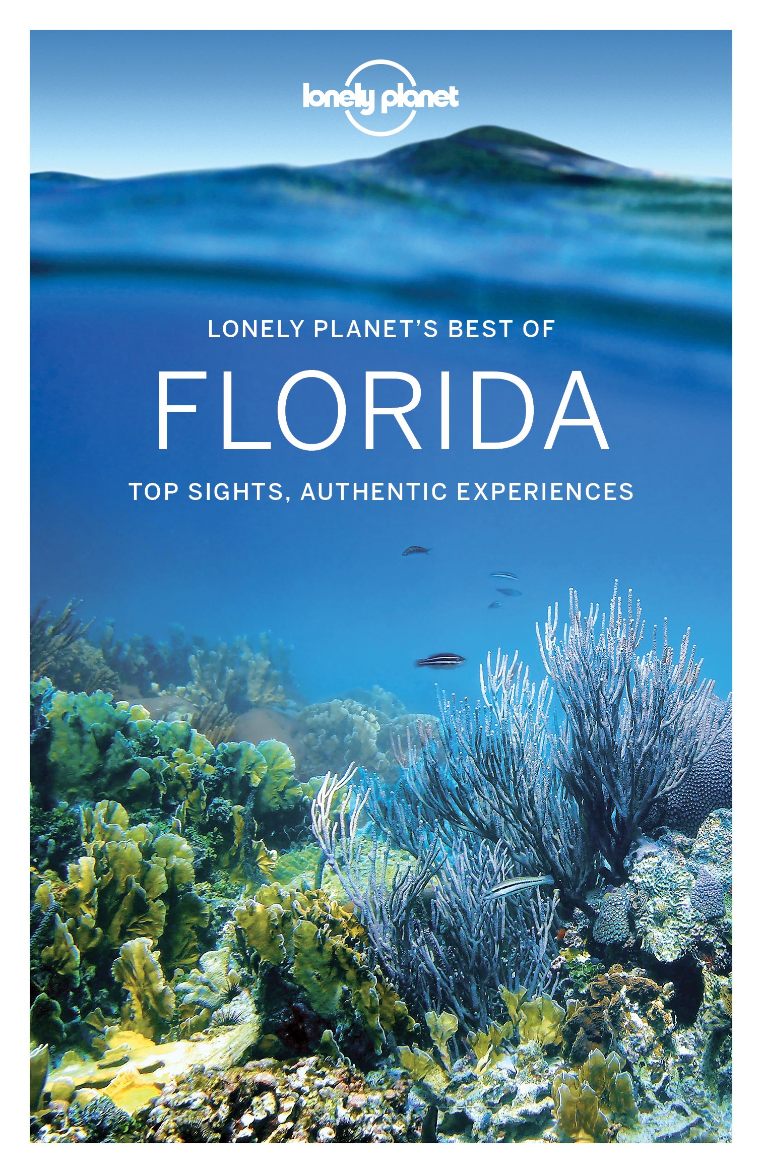 Lonely Planet Best of Florida - image 1