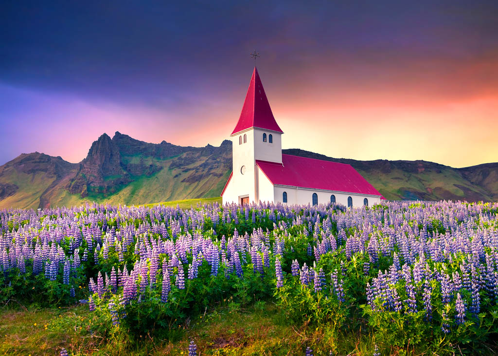 Church in surrounded by lupine flowers ANDREW MAYOVSKYYSHUTTERSTOCK An - photo 3