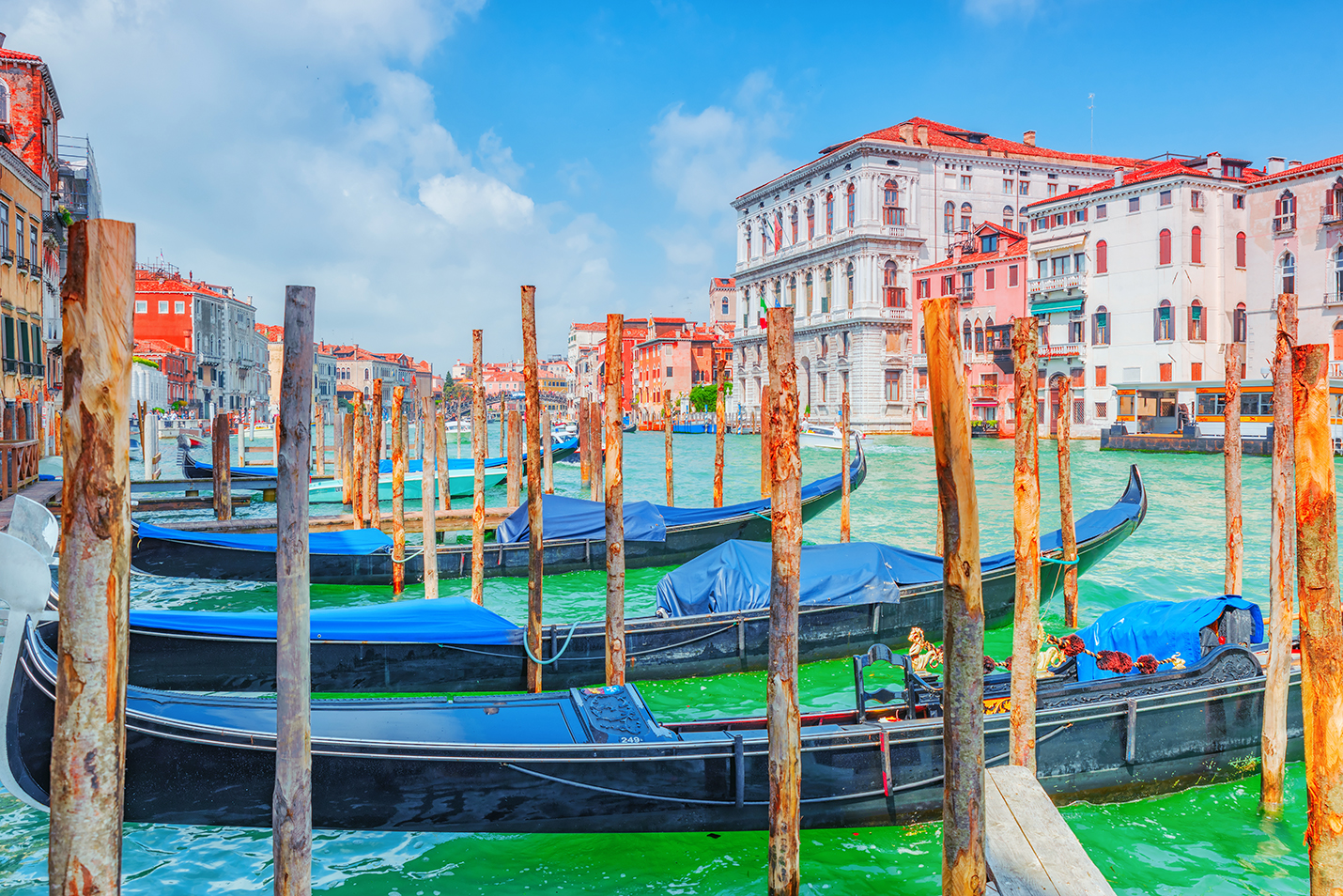 Grand Canal BRIAN KINNEY SHUTTERSTOCK Palazzo Ducale JAVARMAN - photo 6