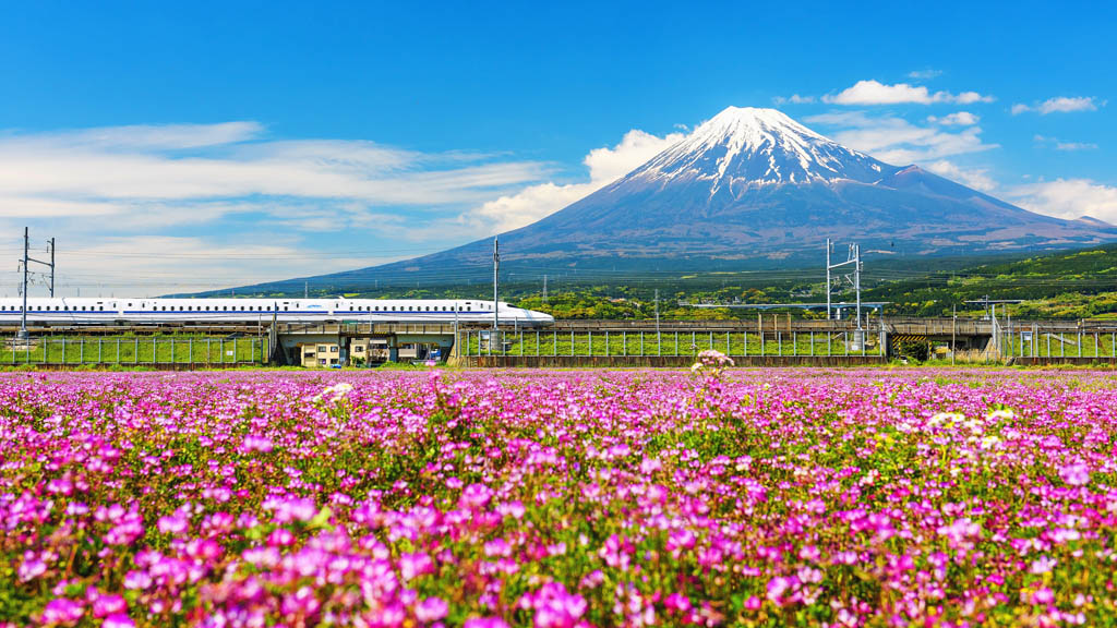 BLANSCAPE SHUTTERSTOCK Theres an intoxicating buzz to Japans urban - photo 3