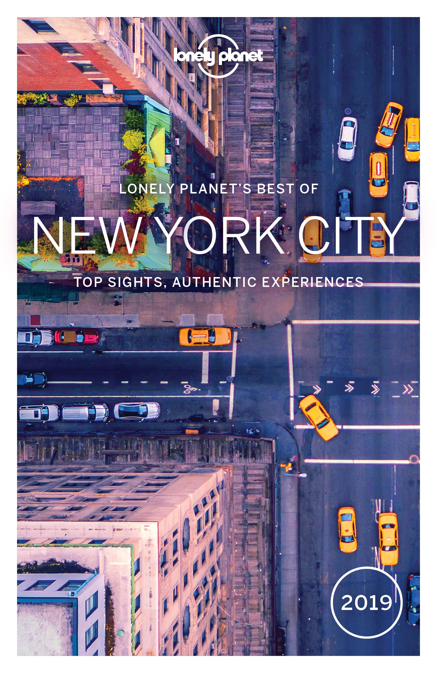 Lonely Planet Best of New York City 2019 - image 1