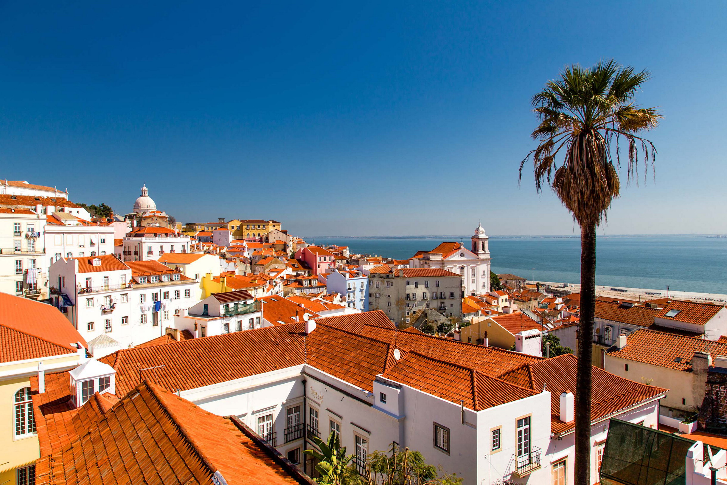 CHRISTOBOLOGETTY IMAGES S4SVISUALSSHUTTERSTOCK PORTUGALS TOP 12 PLAN - photo 5