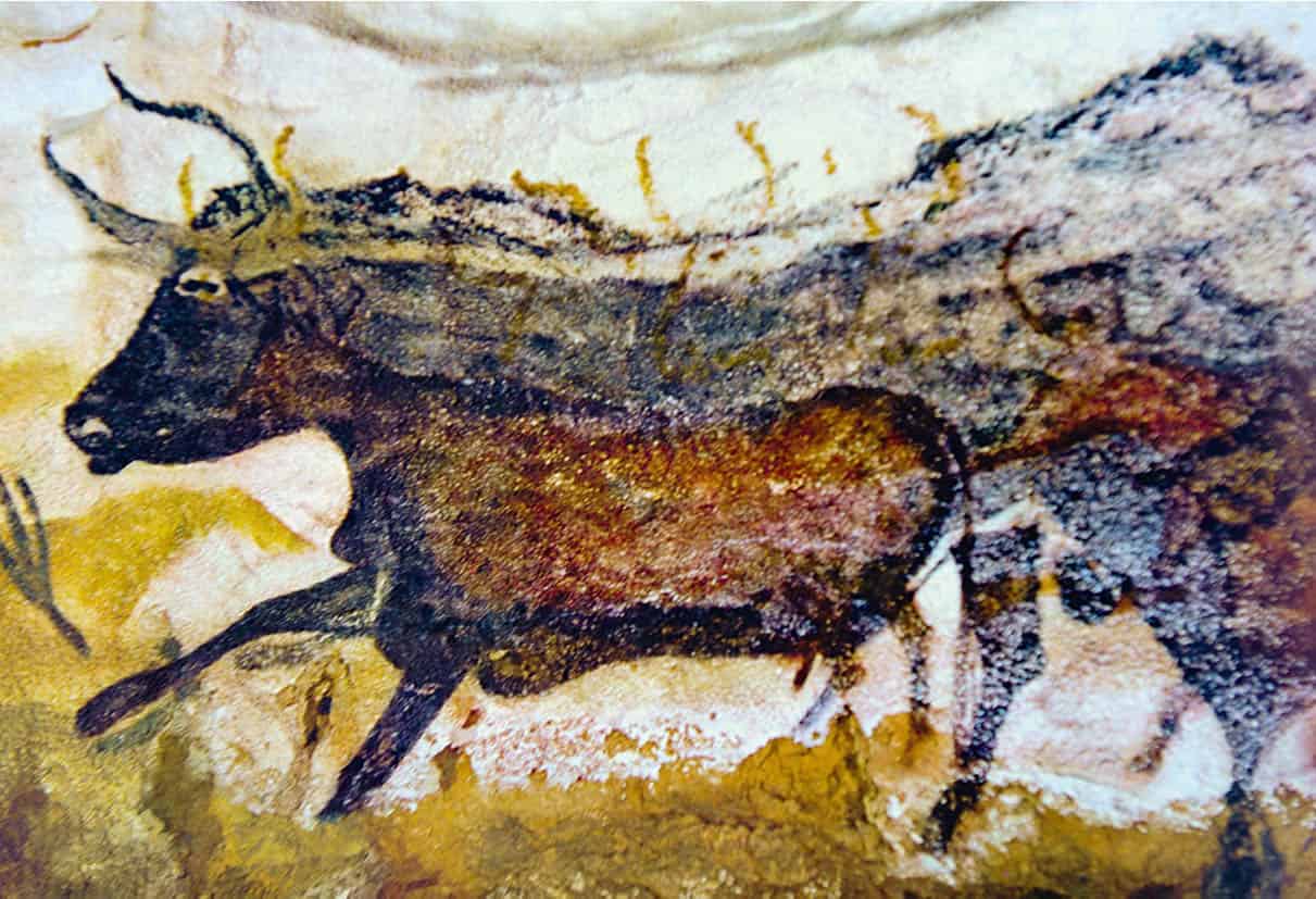 Top Attraction 10 Sylvaine PoitauApa Publications Lascaux The 17000-year-old - photo 13