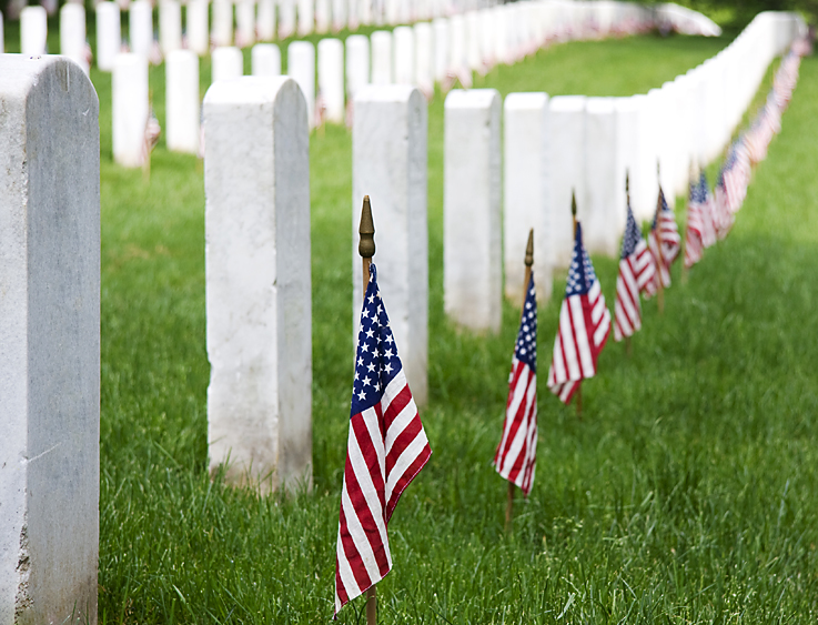 Arlington National Cemetery Robert DodgeGetty Images Washington DC Top - photo 14