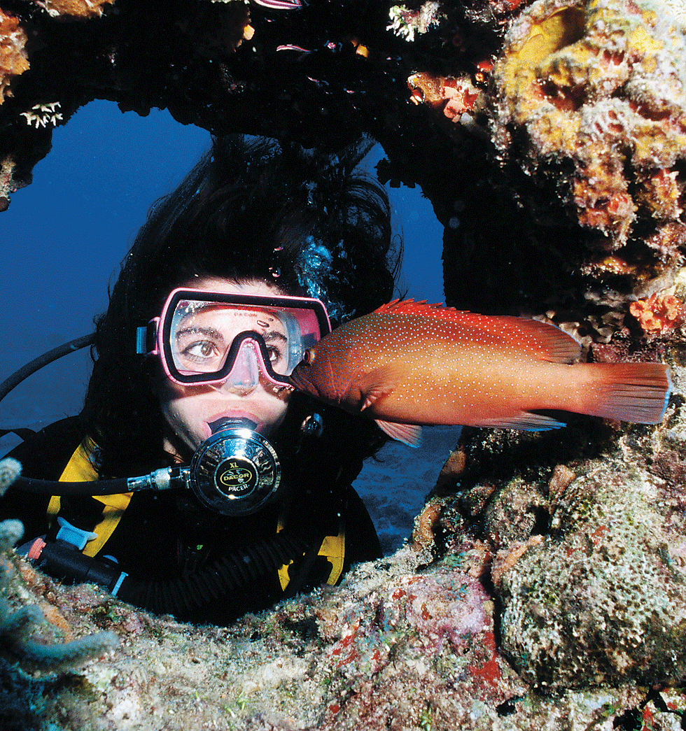 GREG JOHNSTON LONELY PLANET IMAGES Exploring the Out Islands The BVIs - photo 6