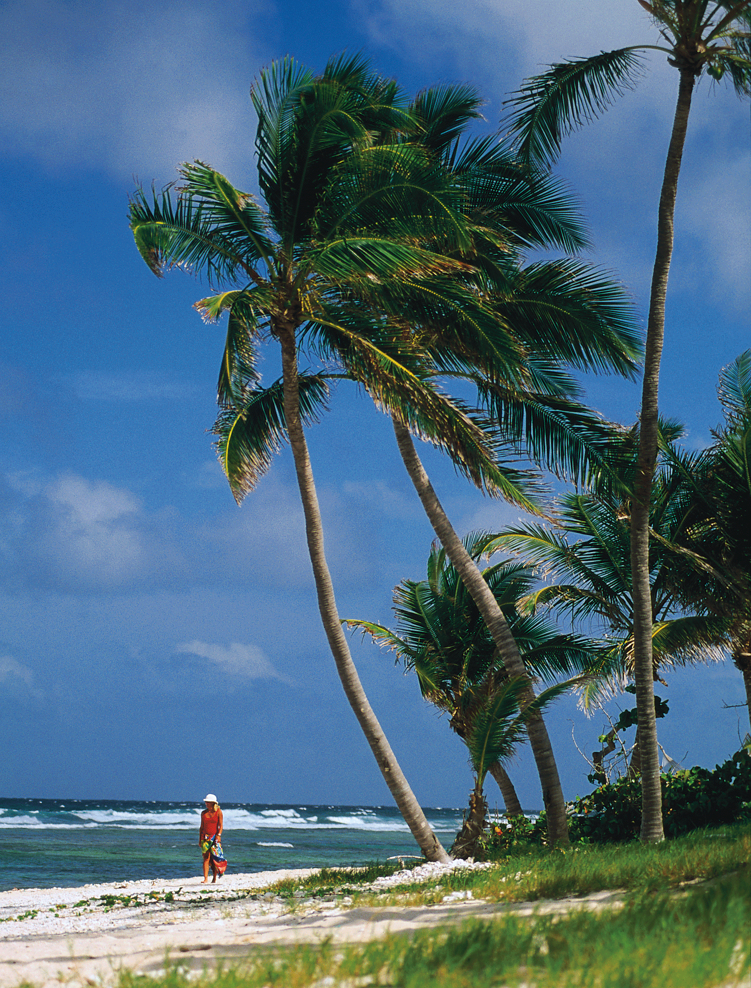 White Bay Beach Jost Van Dyke HOLGER LEUE LONELY PLANET IMAGES - photo 8