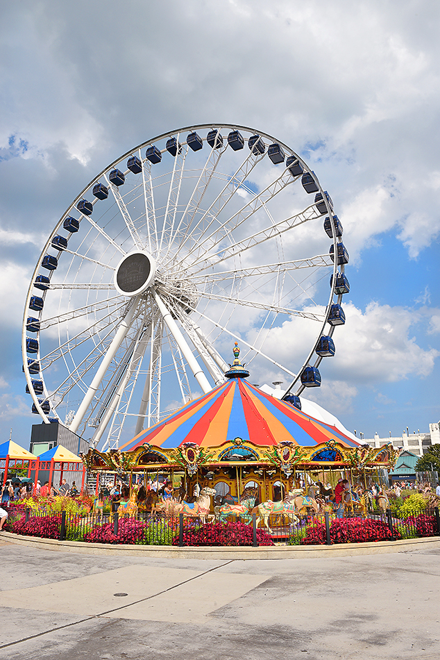 Navy Pier STEVE CUKROVSHUTTERSTOCK Chicago Top Sights Museum of - photo 13