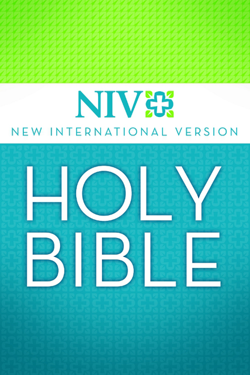 Holy Bible New International Version - image 1