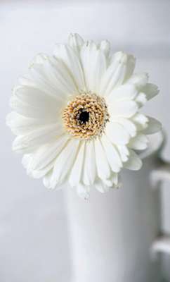 The gerbera lends itself to representation in stitches with its long petals in - photo 11