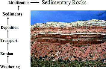 Fig 13 Forming procedures of sedimentary rocks Sedimentary rocks are - photo 3