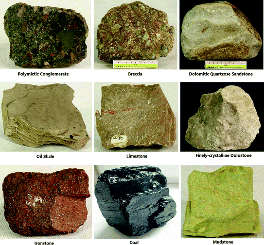 Fig 14 Sedimentary rocks Courtesy of China University of Geosciences - photo 4