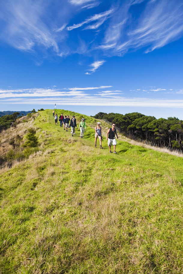 MICAH WRIGHTDESIGN PICSGETTY IMAGES CITY GUIDE Auckland city and - photo 13