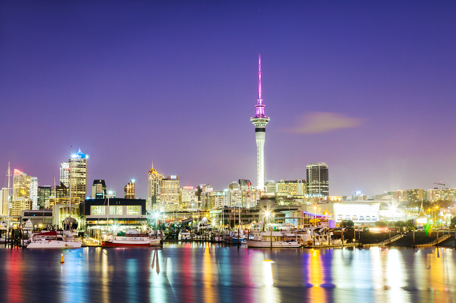 Auckland city and harbour at dawn MATTEO COLOMBOGETTY IMAGES AUCKLAND - photo 14