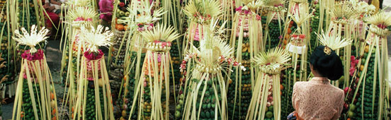 Temple offerings banten tegeh at Pura Samuan Tiga Bedulu GREGORY ADAMSLONELY - photo 5