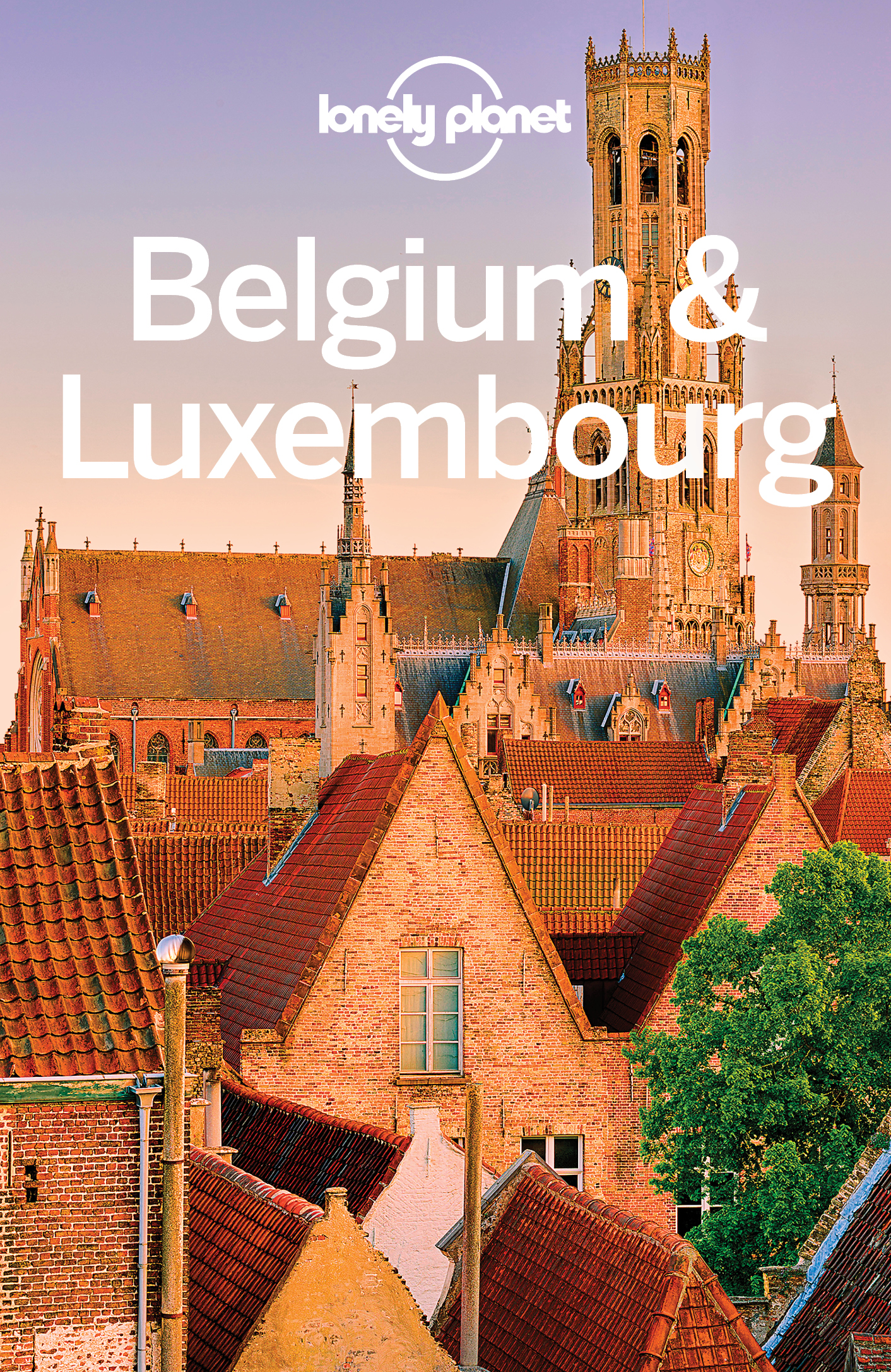 Belgium Luxembourg Travel Guide - image 1