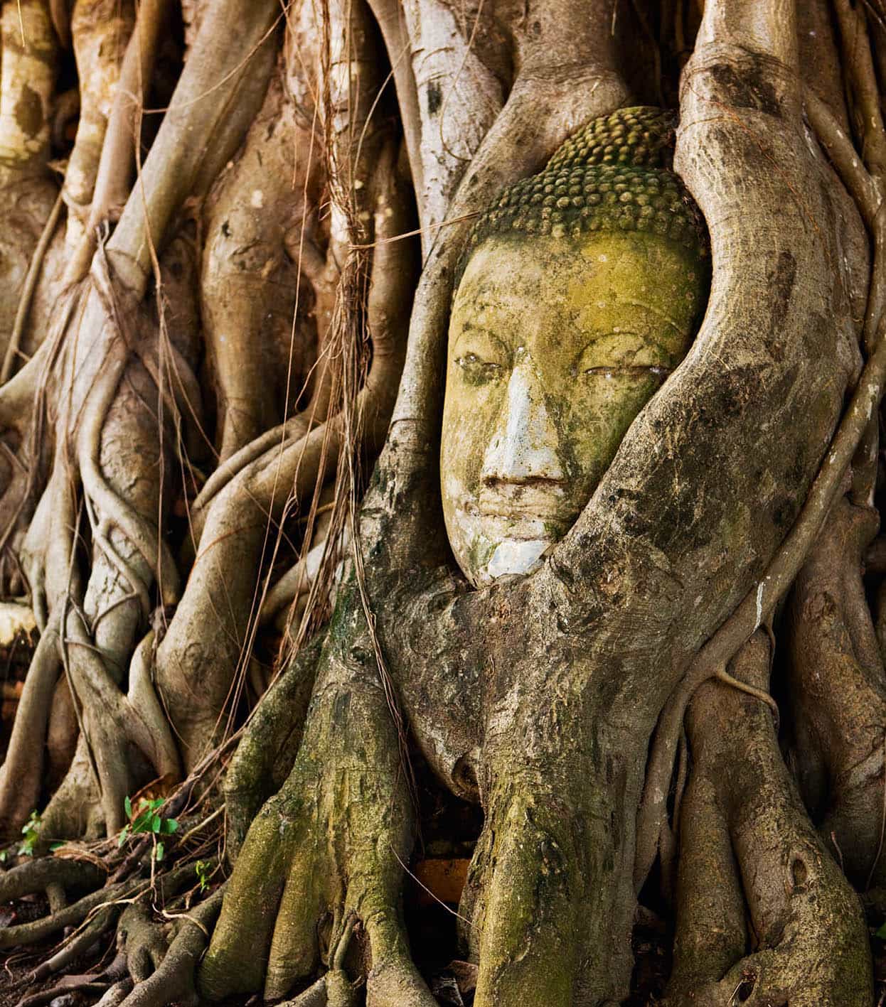 Top Attraction 7 Peter StuckingsApa Publications Ayutthaya A national - photo 10