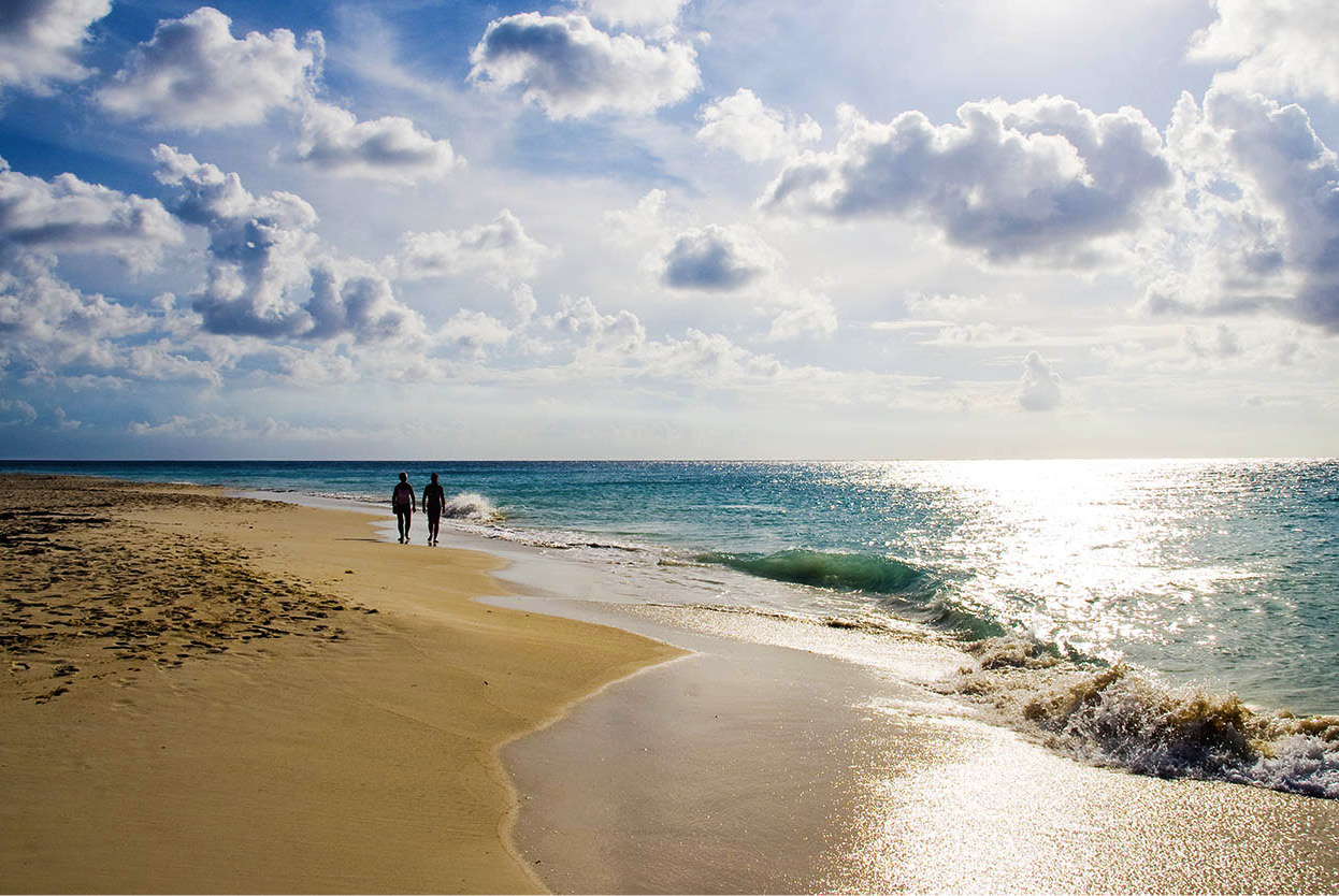 Top Attraction 10 iStock Eagle Beach On the northwest coast of Aruba this - photo 13