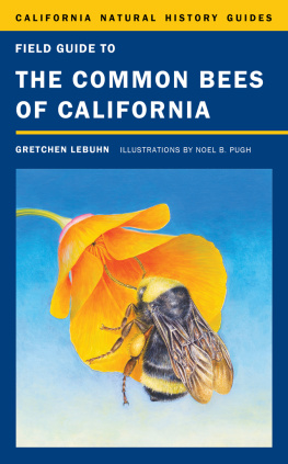 LeBuhn Gretchen - Field guide to the common bees of California: including bees of the Western United States