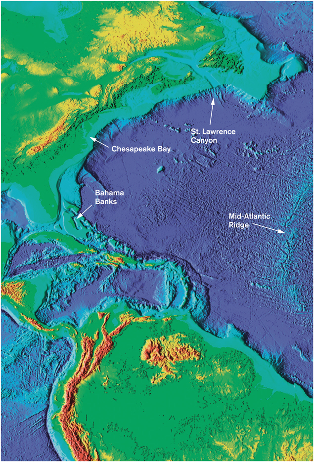 PLATE 7 Continental and oceanic topography the deepest regions are dark blue - photo 9