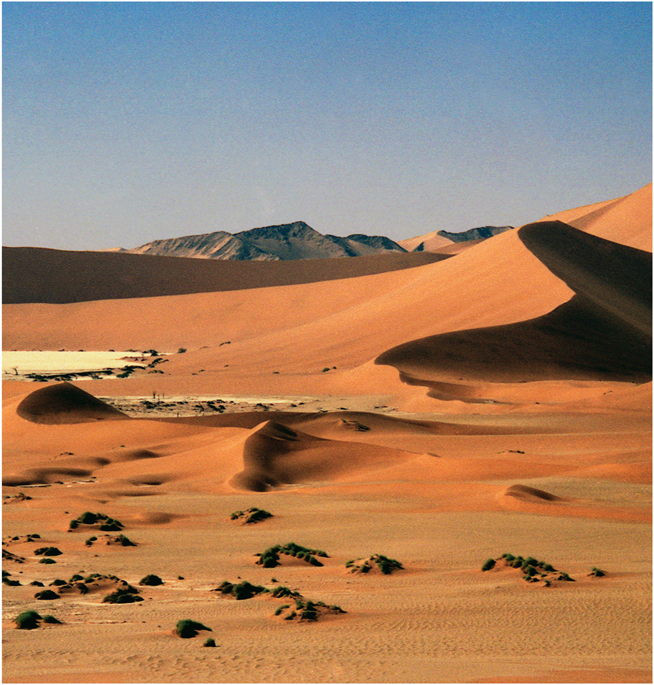 PLATE 9 Mountains dunes salt flats and sometimes struggling vegetation of - photo 11