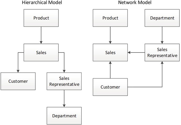 Figure 1-3 Hierarchical and network database models Hierarchical and network - photo 3