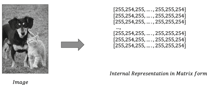 Figure 1-4b Structure of a matrix Tensor A tensor is a multidimensional - photo 7