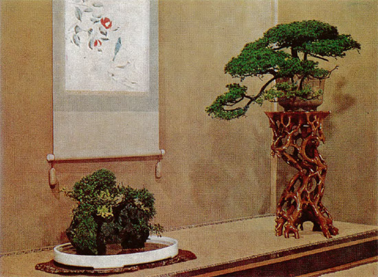 Color Plate 1 A semiformal Japanese arrangement for exhibiting bonsai The - photo 2