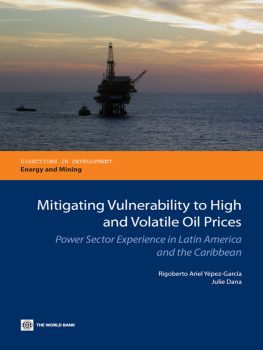 Yépez-García Rigoberto Ariel - Mitigating Vulnerability to High and Volatile Oil Prices