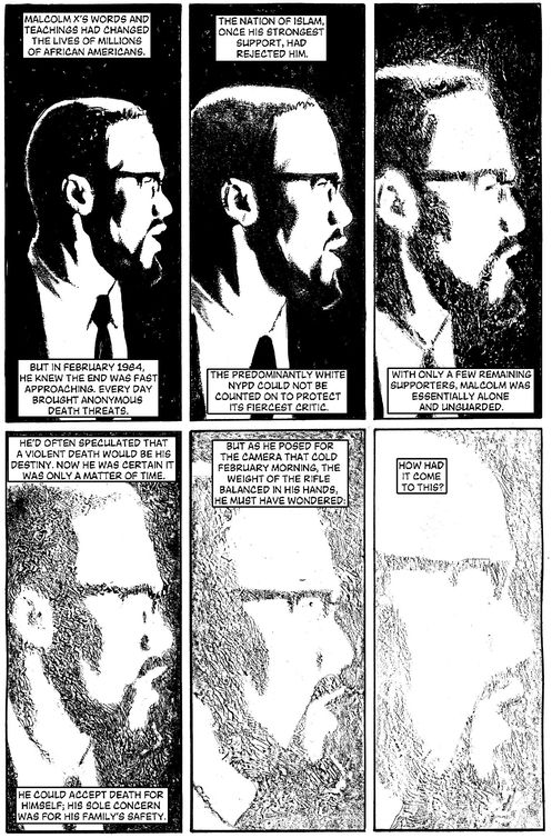 Malcolm X a Graphic Biography - photo 3