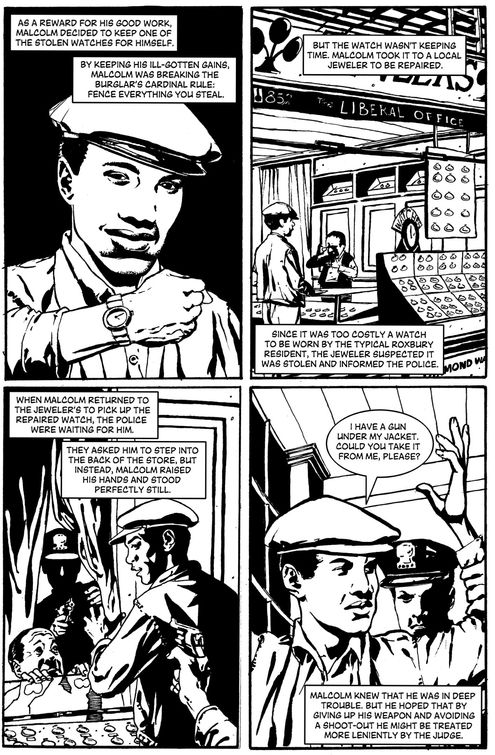 Malcolm X a Graphic Biography - photo 39