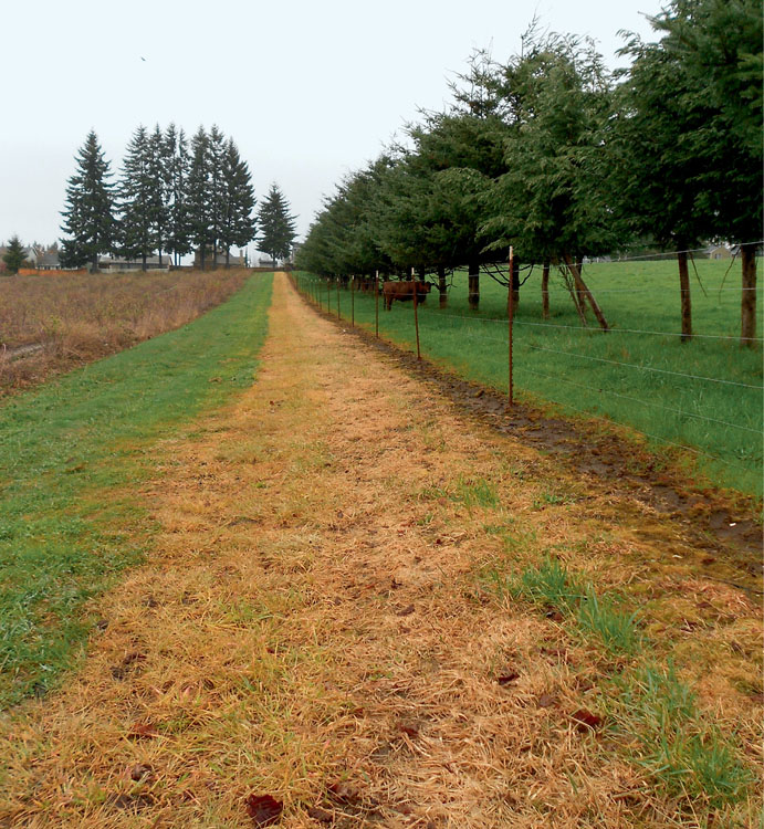 Beneficial insect habitat can be integrated into farms of all sizes from small - photo 8