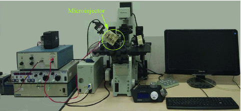 Fig 12 Photo of an automated robotic cell microinjection system with inverted - photo 3