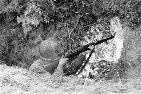 Operation Cobra was conducted in the bocage a type of dense coastal hedgerow - photo 8