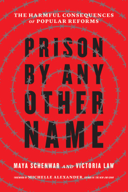 Maya Schenwar - Prison by Any Other Name: The Harmful Consequences of Popular Reforms