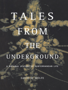 Wolfe Tales from the underground: a natural history of subterranean life