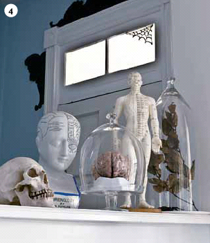 Skulls and statues and bell jars full of brains are the objets that make up - photo 13