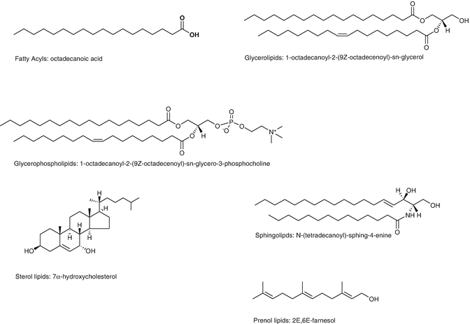 Fig 1 Six classes of lipids commonly analyzed in lipidomics studies - photo 1