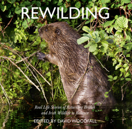 Woodfall - Rewilding: real life stories of returning British and Irish wildlife to balance