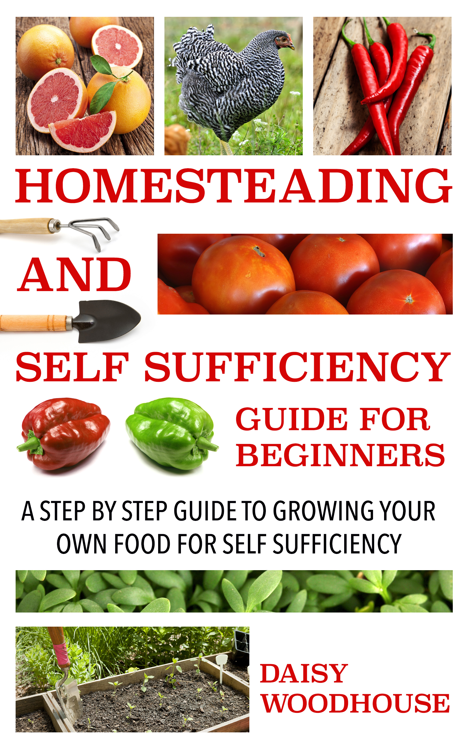 Homesteading and Self Sufficiency Guide for Beginners A Step By Step Guide to - photo 1