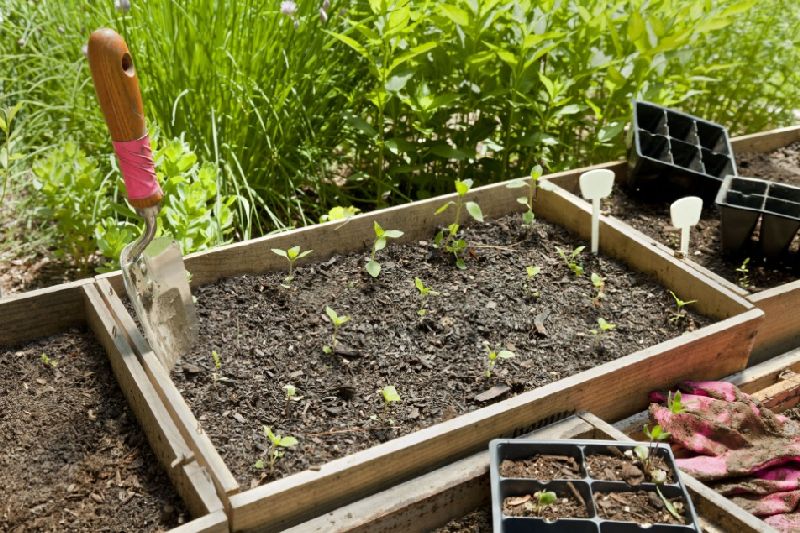 Some people look at the amount of time that it takes to grow a garden Then - photo 3