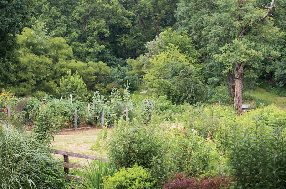 Pestos pastes and pures are ancient recipes made around the world with greens - photo 8