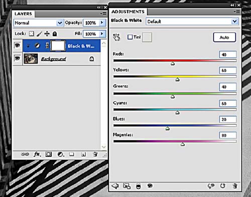 Method 2 use the Black and White command All Photoshop versions from CS3 - photo 6